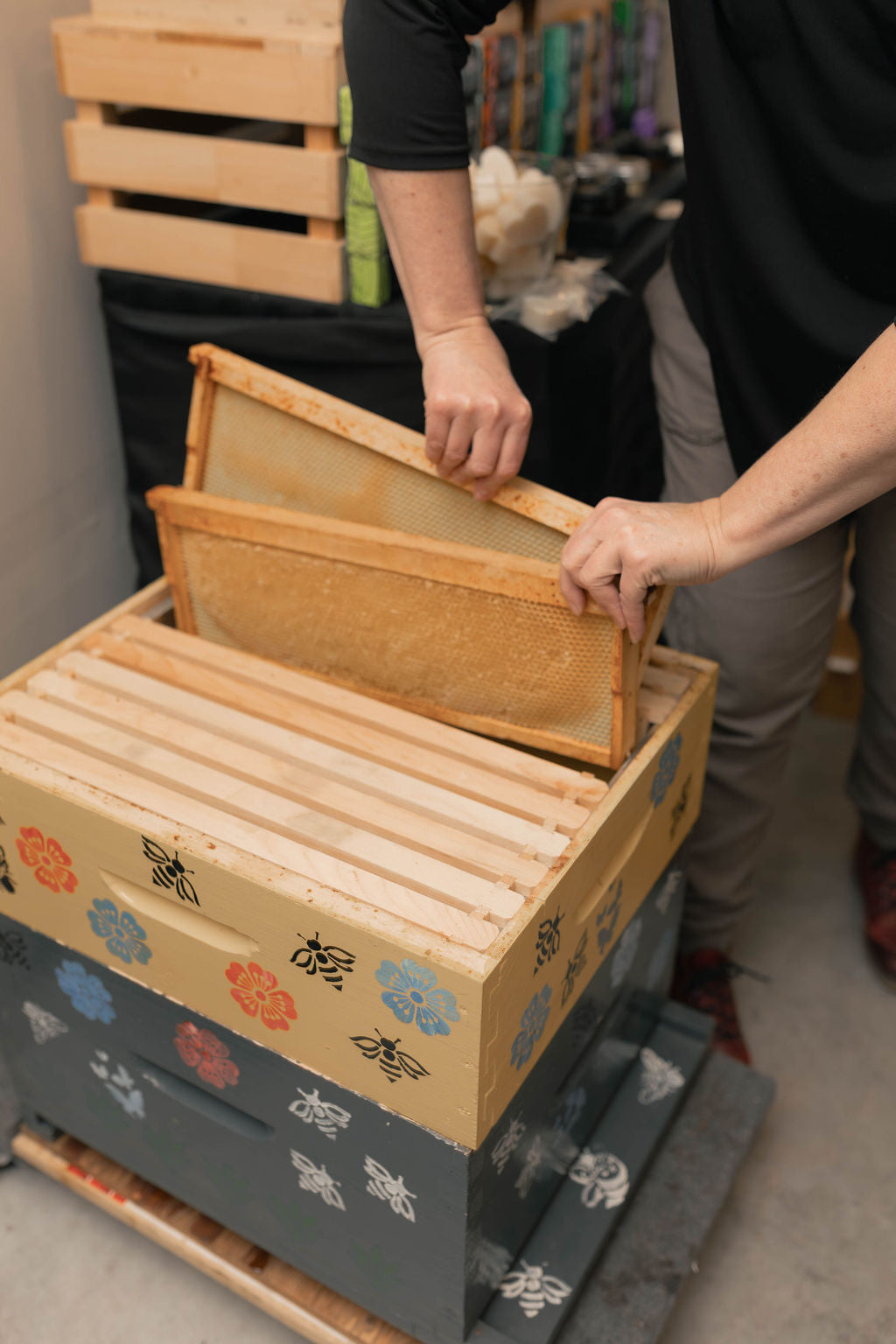 UNE RUCHE COMMENT ÇA MARCHE?