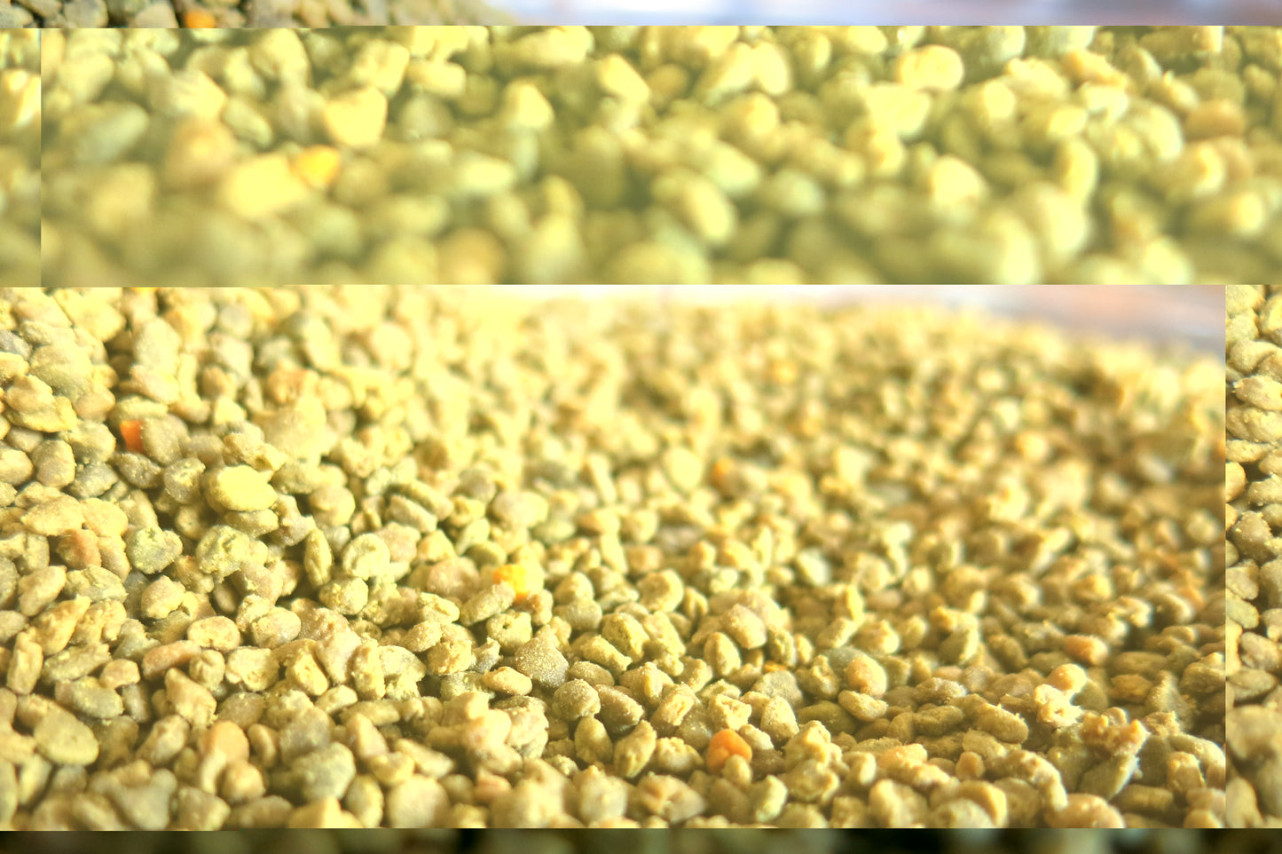 Pollen