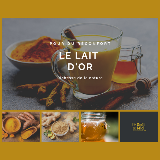 Affiche publicitaire pour le lait d'or avec quelques photos d'une tasse de lait chaud, de miel et de noix.